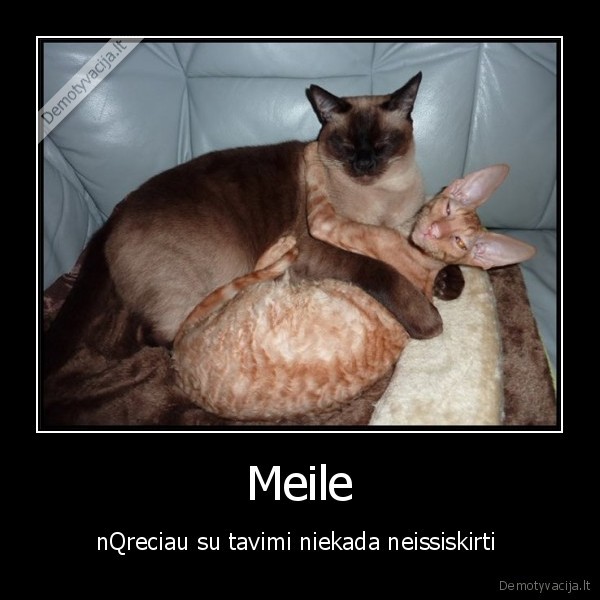 Meile