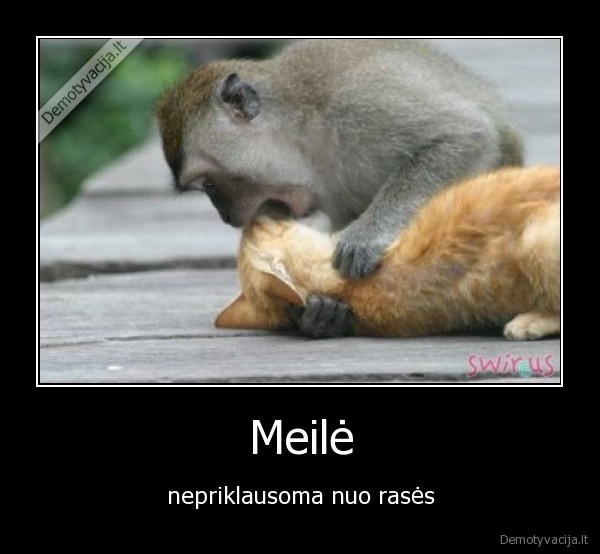 meile,rase,nepriklausoma, meile,meile, tarp, gyvunu