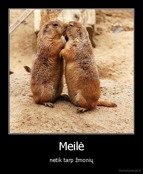 Meilė