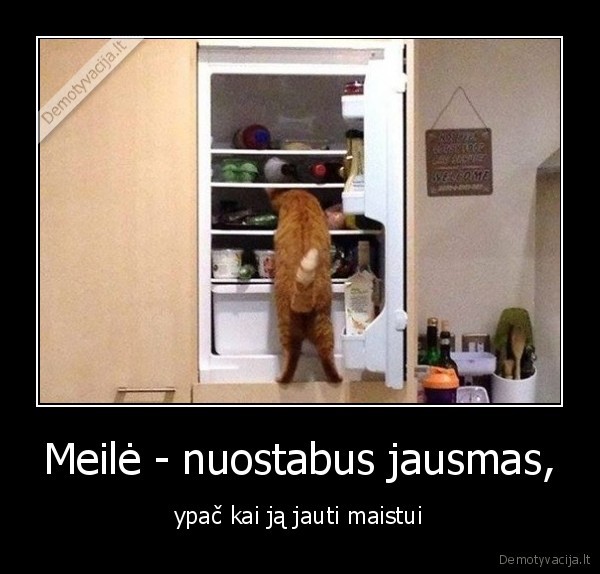 maistas,meile