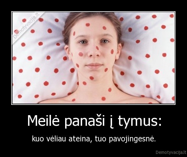 meile,tymai