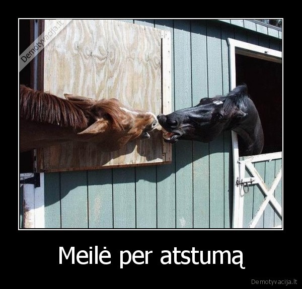 Meilė per atstumą