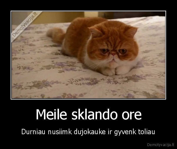 Meile sklando ore