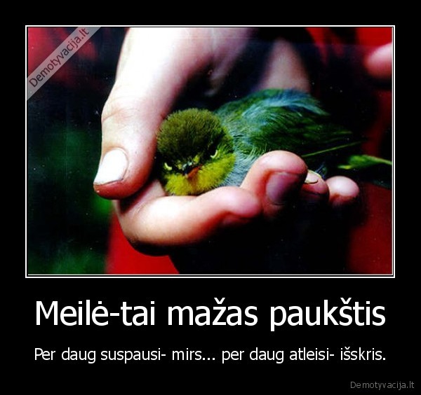 meile,paukstis