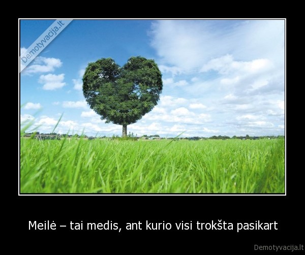 Meilė – tai medis, ant kurio visi trokšta pasikart