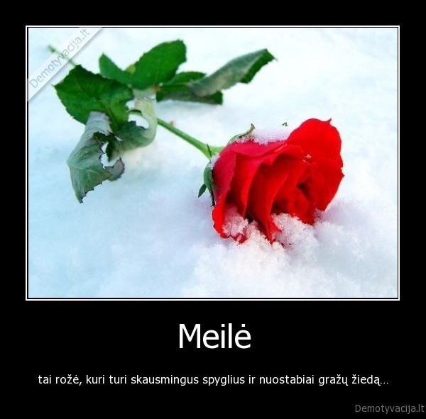 Meilė