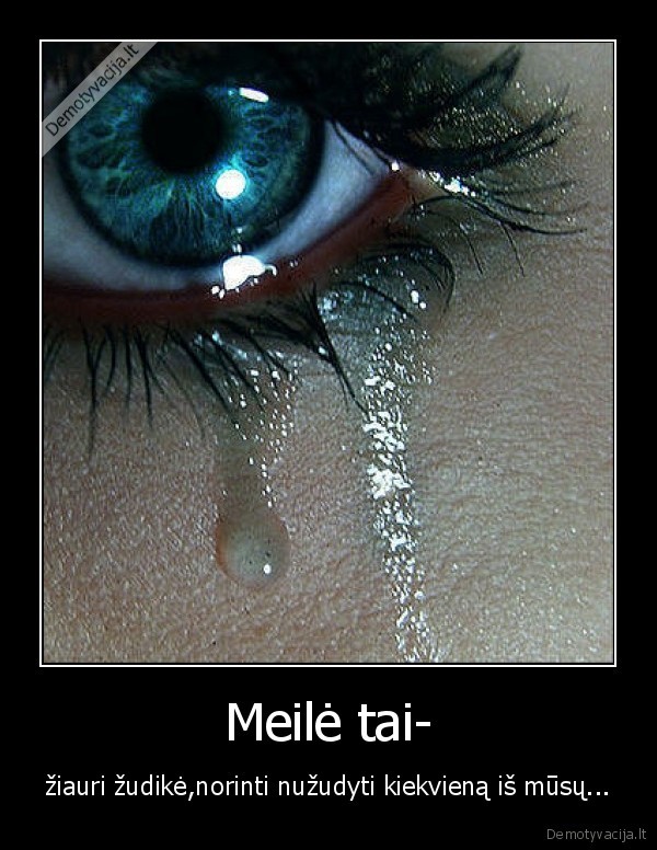 Meilė tai-
