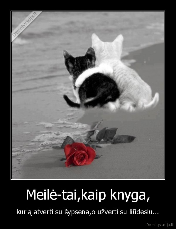 Meilė-tai,kaip knyga,