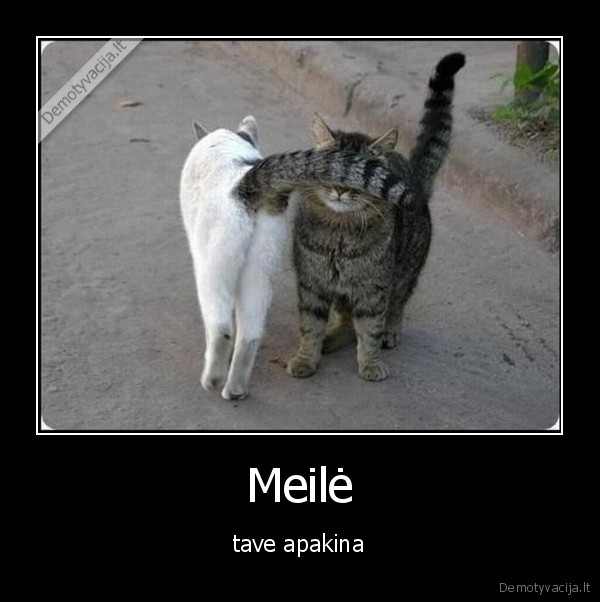 Meilė