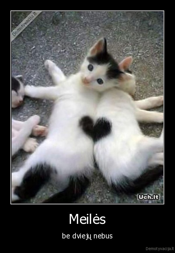 meileeee
