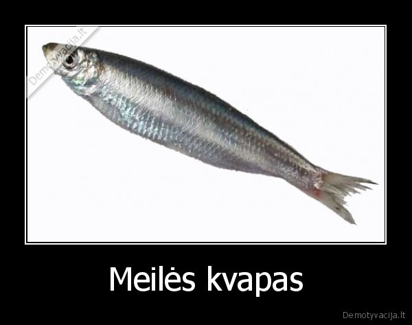 smirda,kaip,silke