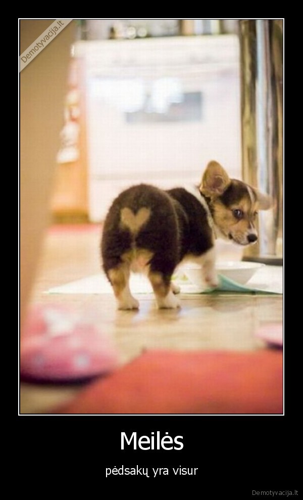 aww