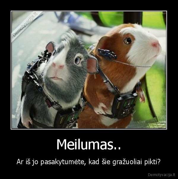 Meilumas..