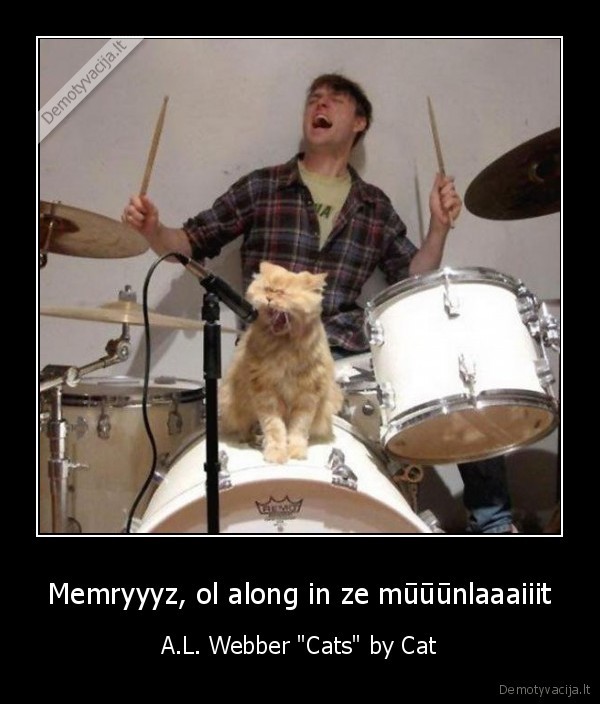 Memryyyz, ol along in ze mūūūnlaaaiiit