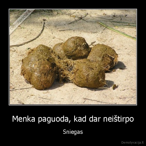 sudas,pieva,laukas