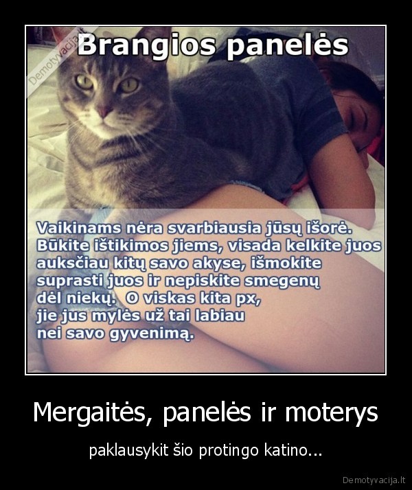 katinas,paneles,vyras,meile,jausmai,mintys