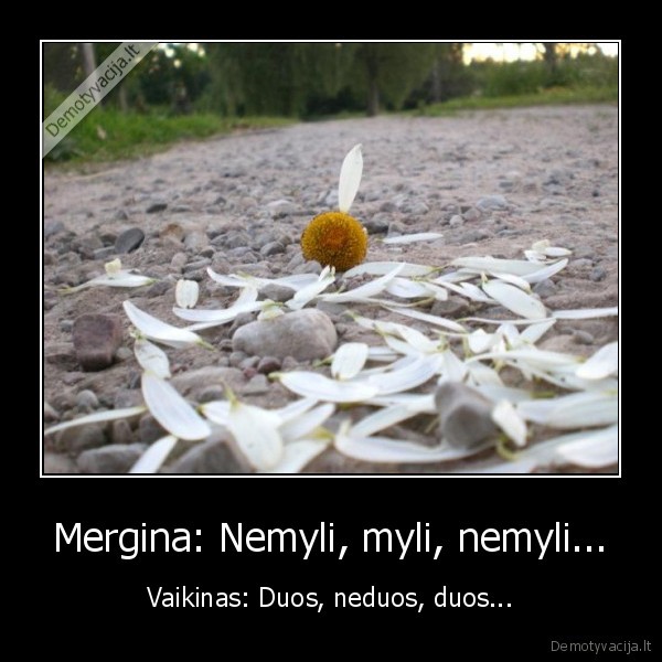 toks, jau, tas, gyvenimas
