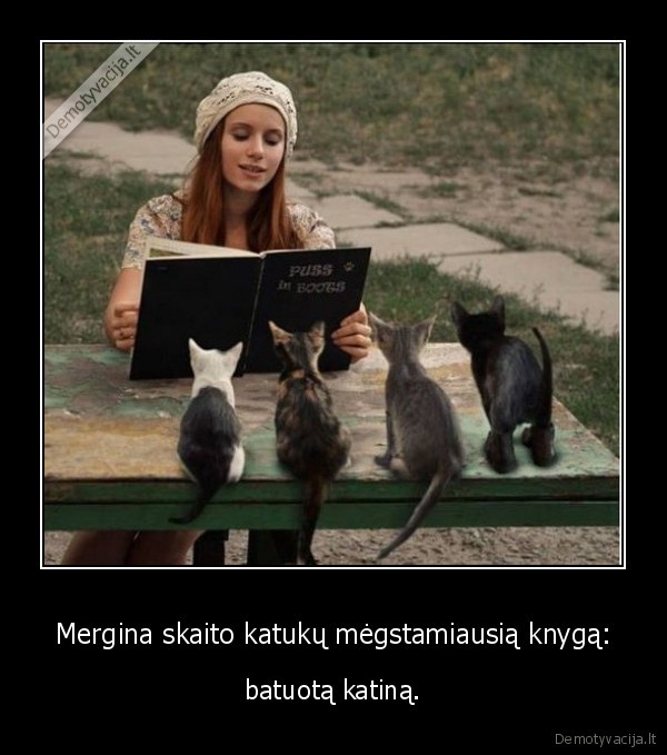 katinas,kaciukas,batuotas, katinas
