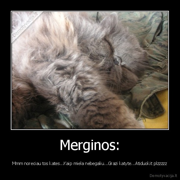 Merginos: