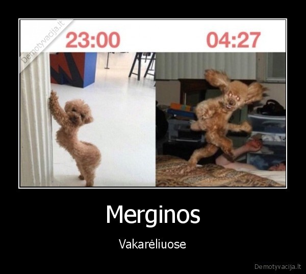 vakarelis,pasileido