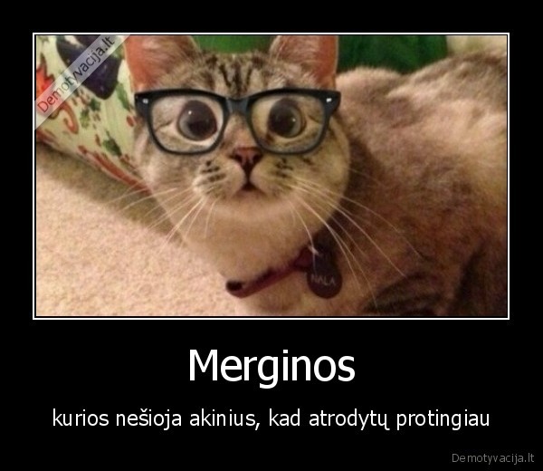 merginos,akiniai,protingiau