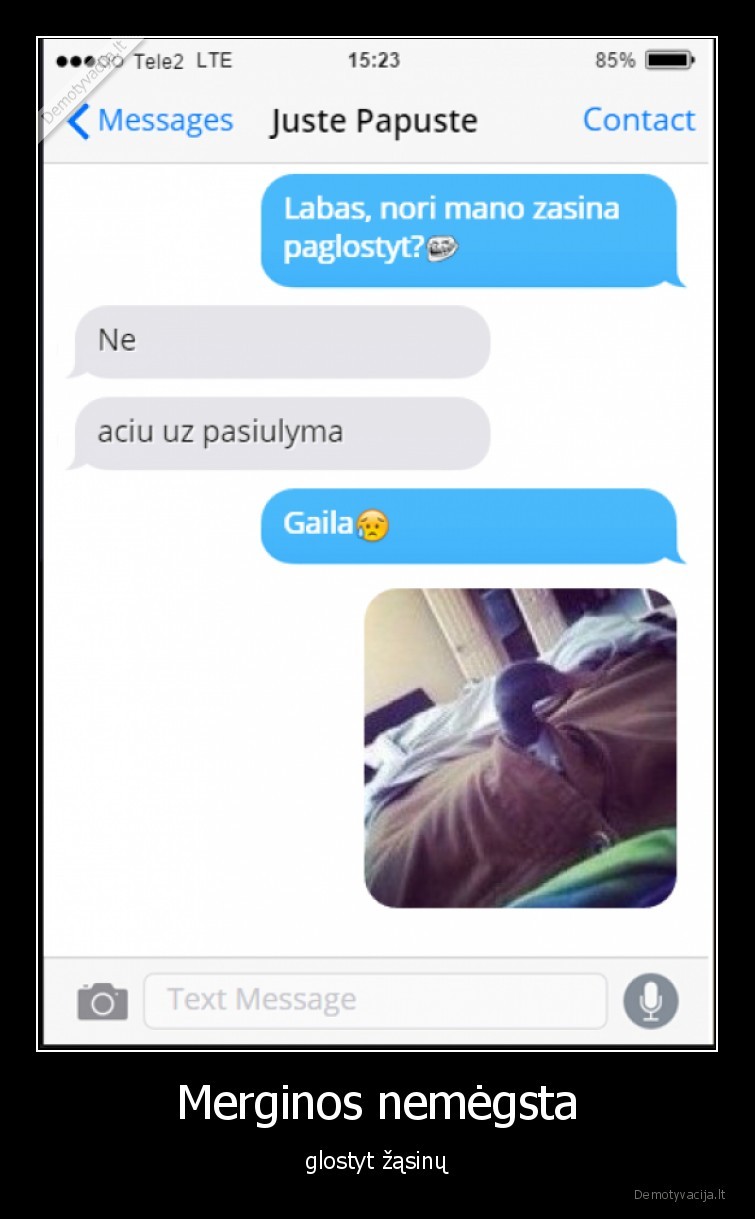 zasinas,glostyt
