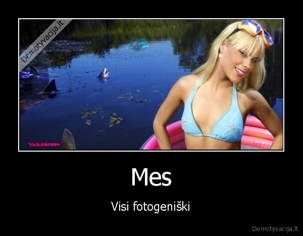 ryklys, skesta
