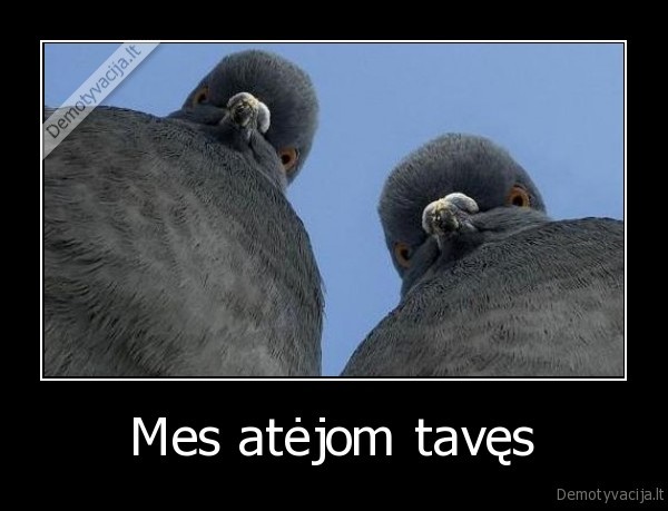 ballandziai,atejo,taves