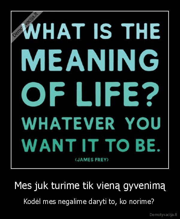 life, oplia