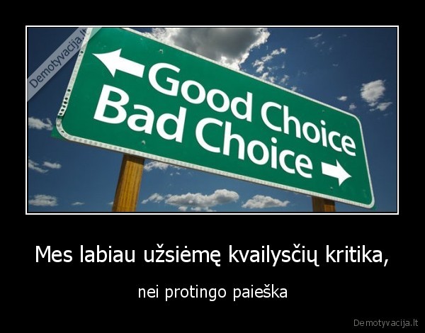 Mes labiau užsiėmę kvailysčių kritika,