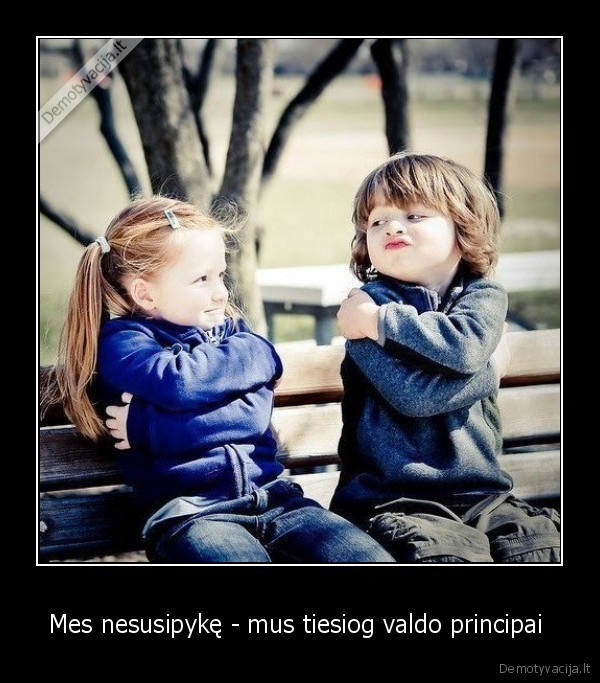 Mes nesusipykę - mus tiesiog valdo principai 