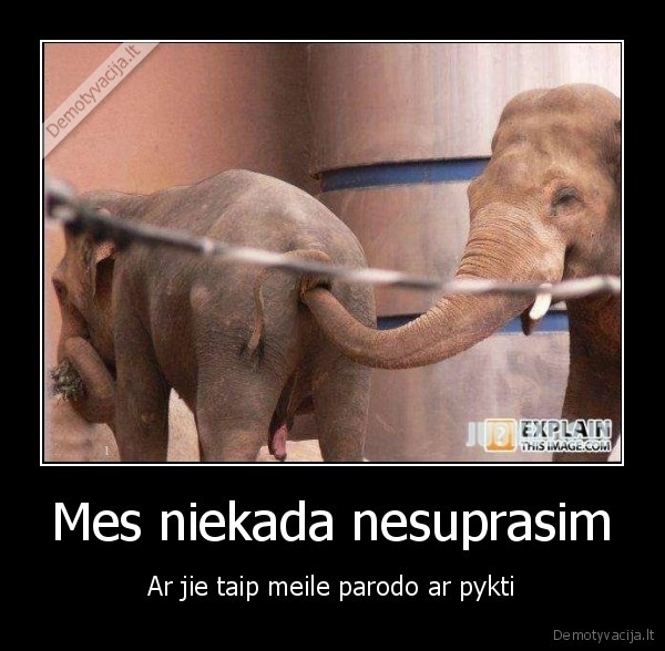 Mes niekada nesuprasim