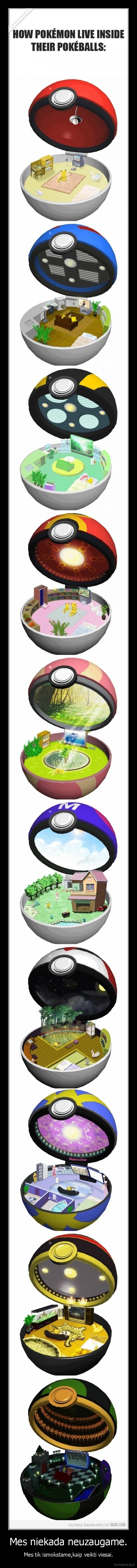 pikachiu,i, choose, you