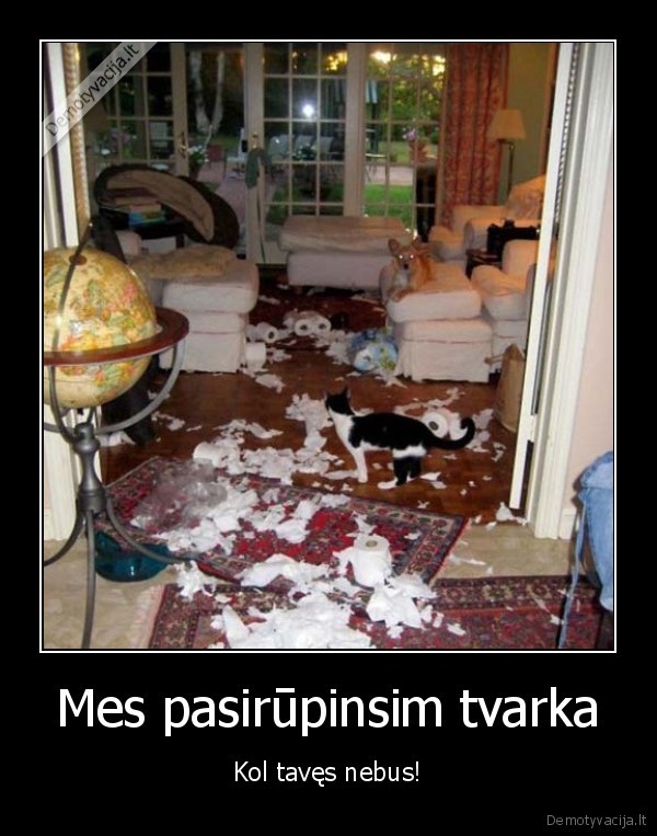 netvarka,gyvunai