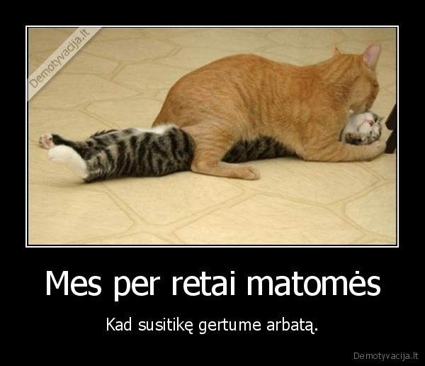 katinai,matytis,retai,arbata