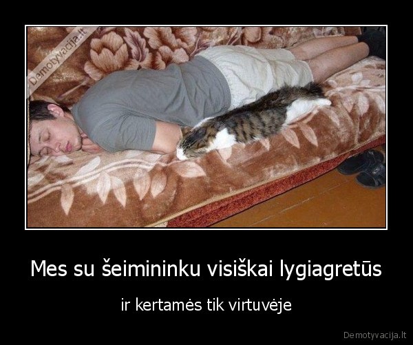 seimininkas,katinas,lygiagretus