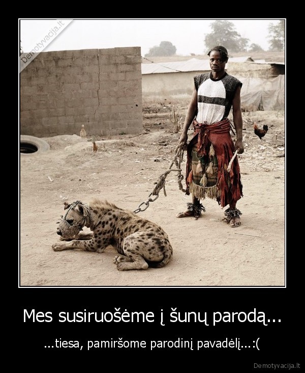 sunu, paroda