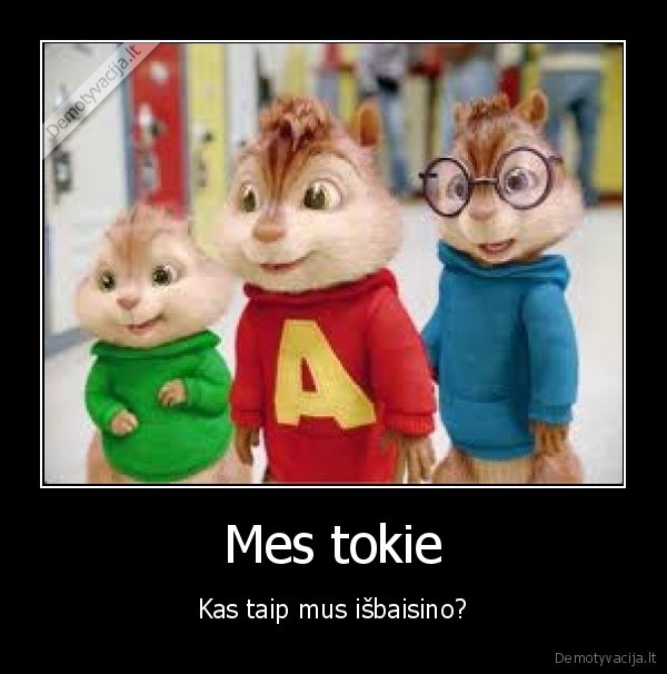 Mes tokie