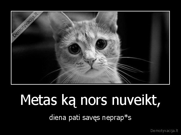 diena,veikti