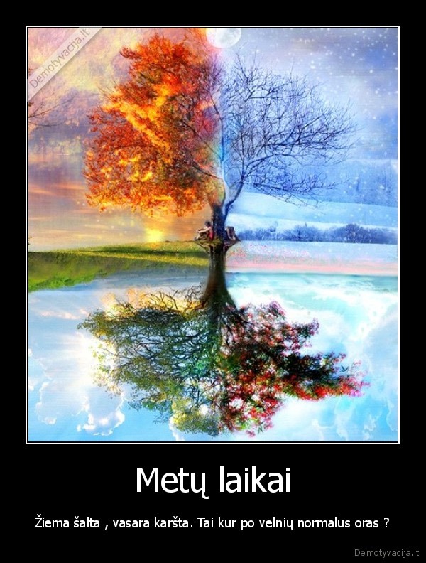 Metų laikai