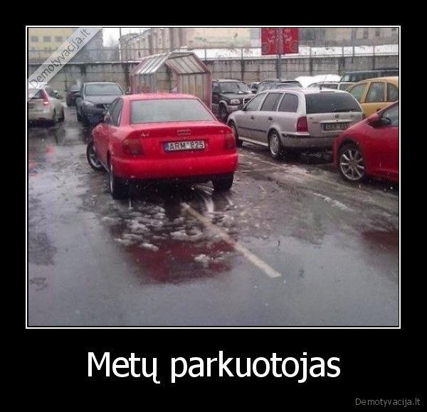 Metų parkuotojas