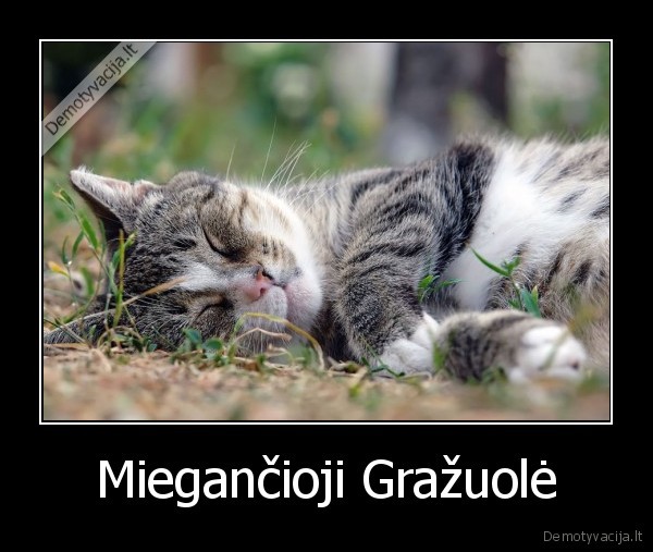 Miegančioji Gražuolė