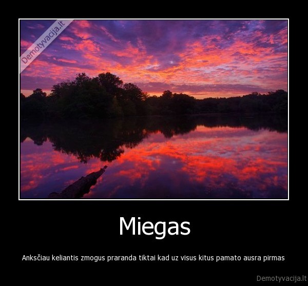 miegas,laikas,ausra