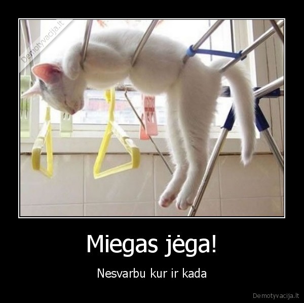 miega, yra, gerai
