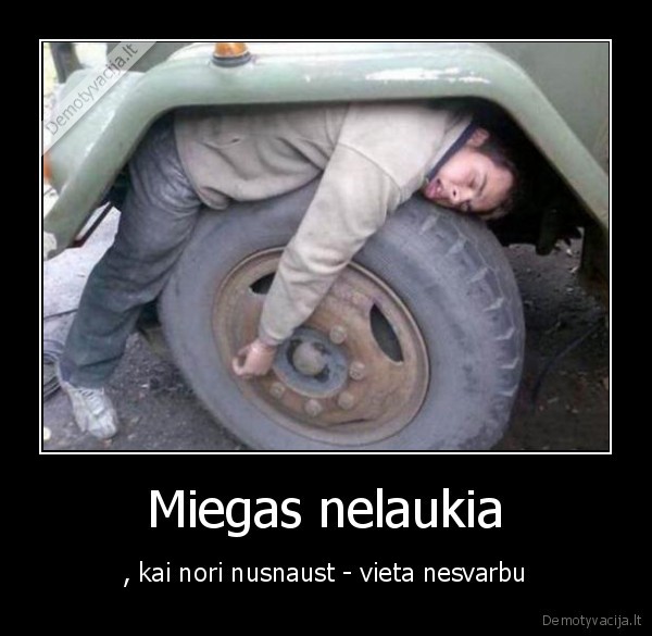 Miegas nelaukia