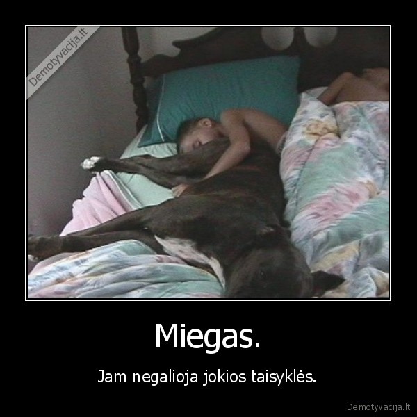 miegas,taisykles,suo