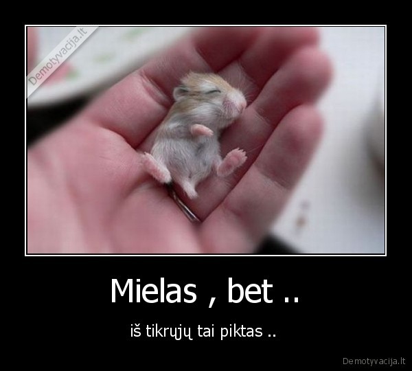 Mielas , bet ..