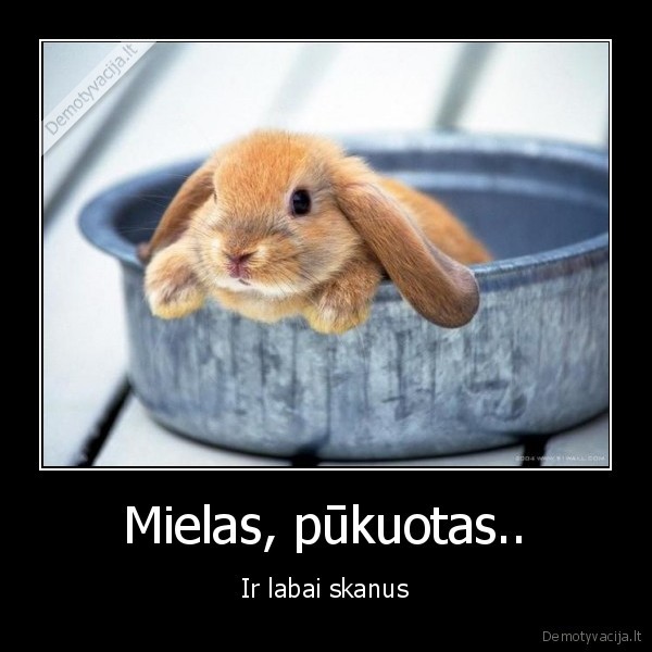 Mielas, pūkuotas..