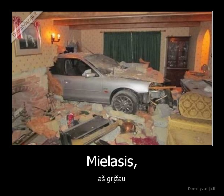 mielasis,grizau,zmona,vairuoja