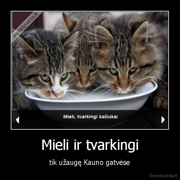 Mieli ir tvarkingi